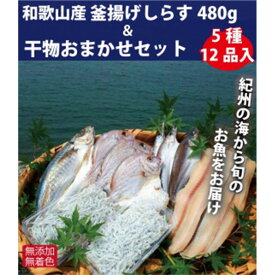 楽天市場 アイゴ 干物の通販 楽天市場 アイゴ 干物の通販