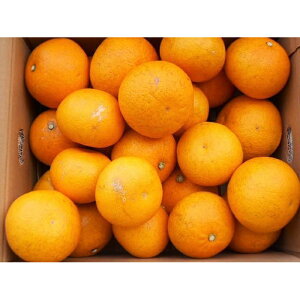 yӂ邳Ɣ[Łza̎RRǒY͂ 10kg m󂠂 ƒp ԏGEGnTCY mSL42n