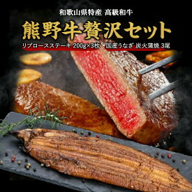 【ふるさと納税】豪華限定企画！熊野牛ステーキと国産炭火焼鰻の贅沢うな牛セットB【MT28】 | 和牛 和歌山県 和歌山 九度山町 楽天ふるさと 納税 返礼品 支援品 お取り寄せグルメ グルメ 牛肉 ステーキ 国産牛 肉 ブランド牛 食品 美味しい うなぎ ウナギ 鰻