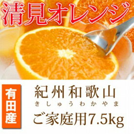 【ふるさと納税】【ご家庭用訳アリ】紀州有田産清見オレンジ　7.5kg【2025年3月下旬以降発送】【先行予約】【UT54】 | 訳あり 和歌山 九度山町 ふるさと 取り寄せ ご当地 訳アリ わけあり オレンジ フルーツ 果物 くだもの 清見オレンジ 柑橘類 かんきつ類 柑橘