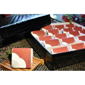 【ふるさと納税】【ギフト用】高級南高梅うす塩個包装20粒入 紀州塗箱 網代模様仕上