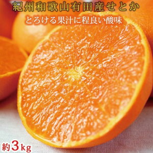 yӂ邳Ɣ[ŁzIBLcYƂ3kg@Ƃ낯HIW[V[km2026N2{ȍ~nms\nmUT03n