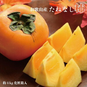 yӂ邳Ɣ[ŁzyH̖oza̎RY˂Ȃ`2L`4LTCY4kgiϔj2025N10菇yTM192z