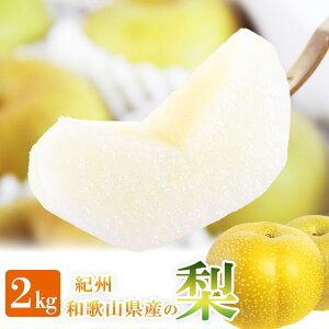 yӂ邳Ɣ[Łz 2kg ϔ IBa̎R 炬Ym2026N8{ȍ~\nmUT103n