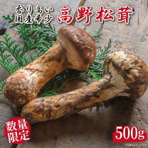 楽天市場】松茸 長野の通販