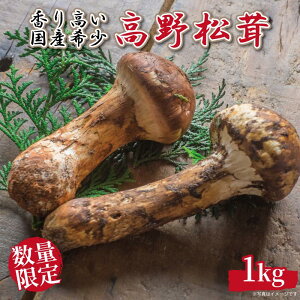 yӂ邳Ɣ[Łzs\ Y 1kg ʌ 荂󏭁ya̎R쒬Yzy2025N9{`11{z | VR   ʌ Ԍ 쒬 a̎R yVӂ邳