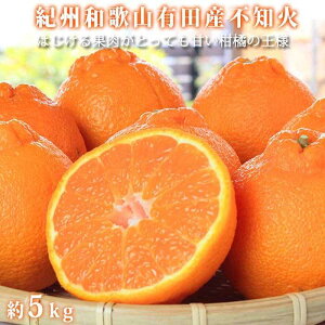yӂ邳Ɣ[ŁzIBLcYsm(ʂ) 5kgm2026N2{ȍ~nms\nmUT40n