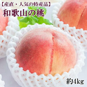 yӂ邳Ɣ[ŁzyYElC̓Yiza̎R̓@700g^1.5kg^2kg^4kgEGIi2026N6{`8{ |   t[c a̎R ʕ s\ Ԍ 2kg  Hׂ