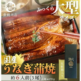 【ふるさと納税】大型サイズ　ふっくら柔らか　国産うなぎ蒲焼き　3尾　化粧箱入［春土用の丑の日のうなぎ］［～4月21日までにお届け］［UT06］ | 鰻 魚介類 水産 食品 人気 おすすめ 送料無料