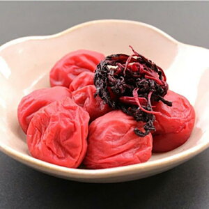 yӂ邳Ɣ[ŁzIB썂~ ~ 500g ƒp yUS30z | ~ Hi HHi lC  