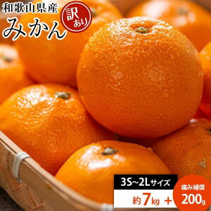 yӂ邳Ɣ[Łza̎RY x9.5x ȏ 󂠂 ݂ 7kg ݕ⏞+200g 3S ` 2LTCYyMG58z | 󂠂 KiO t[c ʕ  Hi lC  