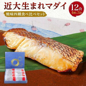 【ふるさと納税】近大生まれマダイ 焼味四種食べ比べセット/12食【KD1】