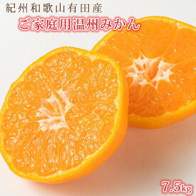 【ふるさと納税】［ご家庭用訳アリ］紀州有田産温州みかん7.5kg［2026年11月下旬以降発送］［先行予約］［UT10］