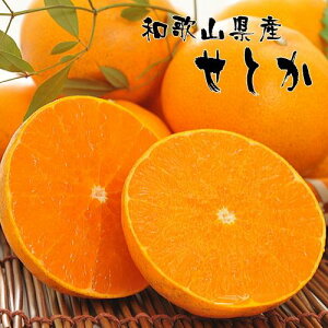 yӂ邳Ɣ[Łza̎RLc̔ZƂ 4`5kg ms\n |  t[c ʎ ʕ Lc ݂ a̎R@mMS80n | t[c ʕ  Hi lC  