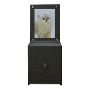 yӂ邳Ɣ[ŁzBosk oXN ybgA ubN ^cNtg yTk154z | {BVH| TATSU-CRAFT   pi