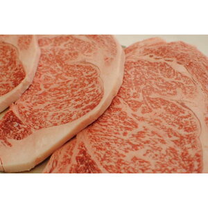 yӂ邳Ɣ[ŁzY јa F싍 [X Xe[L 200g×4 ӂ邳Ɣ[   Y ē o[xL[ BBQ Lv  O a̎R   Ε  |   