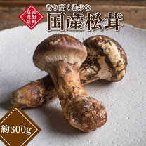 楽天市場】高野きのこの通販