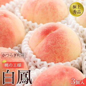 yӂ邳Ɣ[Łzs̔Imn P@̉lIHׂ₷3m2026N6{菇nmGin_ƌI mKG17n |  t[c ʕ  Hi lC 