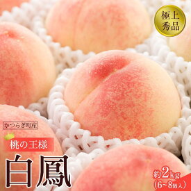 【ふるさと納税】先行販売！［モモ］ 白鳳　桃の王様！約2kg6～8個 ［2026年6月下旬頃より順次発送］［秀品］こだわり農家厳選 ［KG12］ | もも フルーツ 果物 くだもの 食品 人気 おすすめ 送料無料