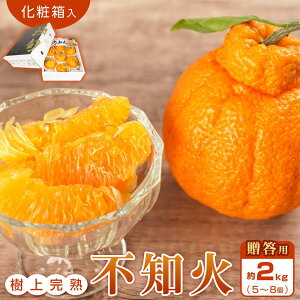 yӂ邳Ɣ[Łzypϔz sm ㊮n 2kg i5`8jy2026N2{`3{zyKG10z | ݂  t[c ʕ  Hi lC  