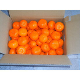 【ふるさと納税】紀州有田みかん 秀品 約5kg サイズおまかせ（L・M・S）いずれかお届け［SL48］ | みかん 蜜柑 フルーツ 果物 くだもの 食品 人気 おすすめ 送料無料