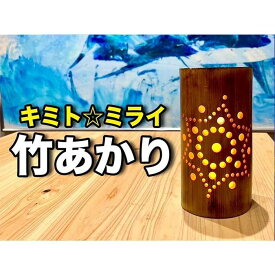 【ふるさと納税】プレミア和歌山認定　高野町限定デザイン　banboo light　高野町産の竹あかり　竹灯籠 天然竹 天然竹 竹製 灯籠 手作り キャンドル インテリア おしゃれ 室内 照明 明かり 灯り 民芸品 プレゼント ギフト