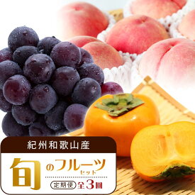 【ふるさと納税】【7・8・10月 全3回】紀州和歌山産旬のフルーツセット（桃・ピオーネ・ひらたねなし柿）定期便 【魚鶴商店】【UT67】 | フルーツ 果物 くだもの 食品 人気 おすすめ 送料無料