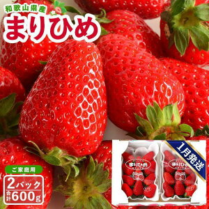 yӂ邳Ɣ[ŁzyƒpiȈՕjza̎RY܂Ђ 1i2pbNjy2026N1͂zmMG59n | t[c ʕ  Hi lC  