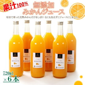 【ふるさと納税】無添加みかんジュース720ml×6本［IKE237］