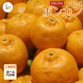 【ふるさと納税】［先行予約］家庭用 森本農園の手選別 ポンカン 4.5kg～10kg 和歌山県産 サイズ混合 ［北海道・沖縄・離島配送不可］ | みかん 蜜柑 フルーツ 果物 くだもの 食品 人気 おすすめ 送料無料