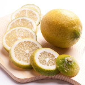 yӂ邳Ɣ[Łz2.5kg+250giݕ⏞jya̎RLcYzyh܁EWAXsgpAS̍YzmIKE127n | t[c ʕ  Hi lC   a̎RLcY h
