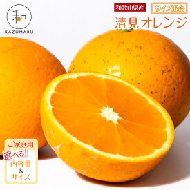 【ふるさと納税】【選べる容量・サイズ】家庭用 森本農園の手選別 清見オレンジ 1.5kg～10kg 和歌山県産 サイズ混合 ［北海道・沖縄・離島配送不可］［2027年2月上旬から順次発送予定］ | みかん 蜜柑 フルーツ 果物 くだもの 食品 人気 おすすめ 送料無料