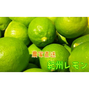 yӂ邳Ɣ[ŁzY _ƒ IB 3kg TCY mMS122n | t[c ʕ  Hi lC  