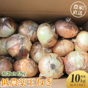 yӂ邳Ɣ[ŁzmIׂTCYnm2026NEs\n_Ƃ񒼑 _ʂ˂ S~2LTCY 10kgxm4{`7{\n | ܂˂ _ ʂ˂  ₳ Hi l