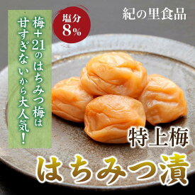 【ふるさと納税】【選べる容量】紀州南高梅 はちみつ梅 450g～850g | 梅干 うめぼし 家庭用 梅 国産 食品 人気 梅干し 取り寄せ グルメ ご飯のお供 楽天ふるさと納税 和歌山県 高野町 和歌山県高野町 高野山