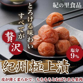【ふるさと納税】【選べる容量】紀州南高梅 紀州極上漬 450g～850g ［Kn14］ | 梅干 うめぼし 家庭用 梅 国産 食品 人気 梅干し 取り寄せ グルメ ご飯のお供 楽天ふるさと納税 和歌山県 高野町 和歌山県高野町 高野山