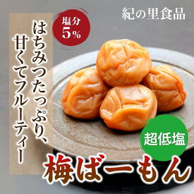 【ふるさと納税】【選べる容量】紀州南高梅 梅ばーもん 450g～850g | 梅干 うめぼし 家庭用 梅 国産 食品 人気 梅干し 取り寄せ グルメ ご飯のお供 楽天ふるさと納税 和歌山県 高野町 和歌山県高野町 高野山