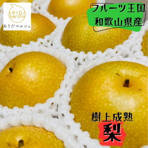 yӂ邳Ɣ[Łza̎R̎㐬n 2kgi6`8ʁj 2026N8{`9{\| s\ ʕ t[c ÂmMS103n |  t[c ʕ  Hi lC  Yn 