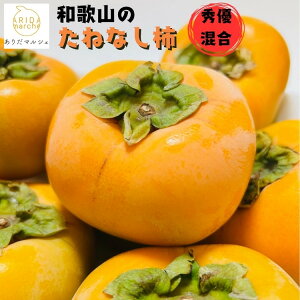 yӂ邳Ɣ[ŁzsstE2026N10`ta̎R̂˂Ȃ` 2kg mMS131n | ` t[c ʕ  Hi lC  