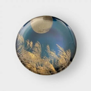 �y�ӂ邳�Ɣ[�Łz�ۏ��M ������ �V�A���u���[ �mNF147�n | �H�� �p�[�e�B ���� �H�|�i �N���t�g ���| �l�C �������� �������� �M�t�g �v���[���g ���蕨