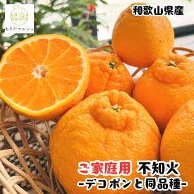 【ふるさと納税】【選べる容量】［先行予約］有田育ちの濃厚 不知火（訳あり 家庭用）1kg～10kg | 柑橘 しらぬい フルーツ 果物 くだもの 食品 人気 おすすめ 送料無料 農家直送