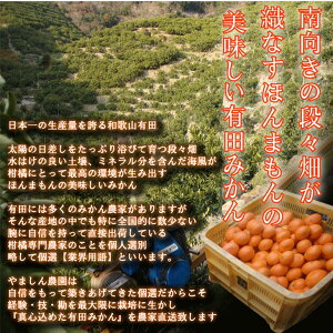 アイテムID:667914の画像2枚目