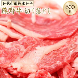 牛肉 切り落とし ふるさと納税の人気商品 通販 価格比較 価格 Com
