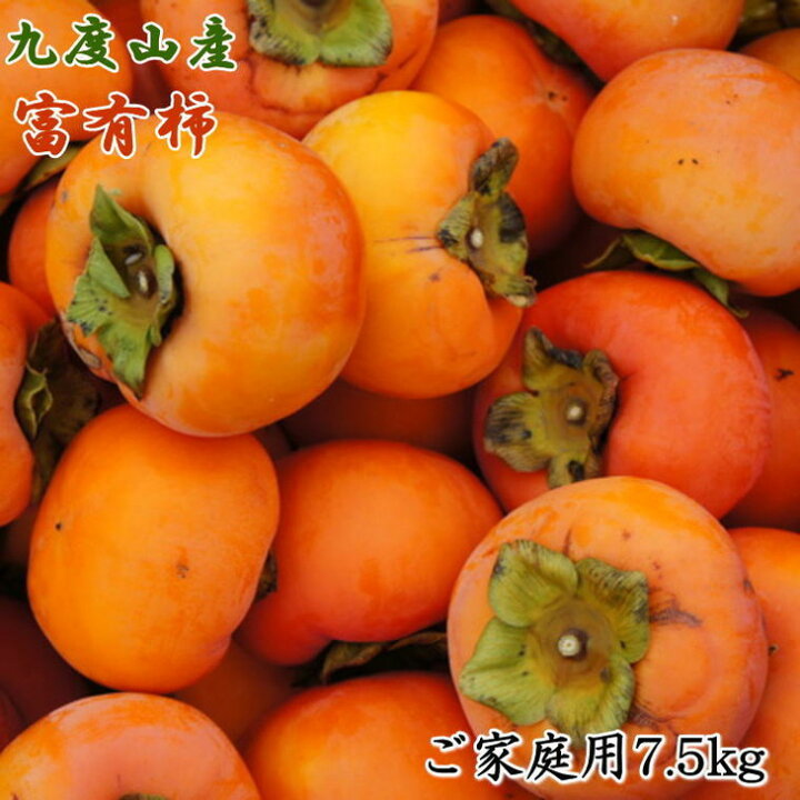 楽天市場】【ふるさと納税】≪柿の名産地≫九度山の富有柿約7.5kgご家庭用 | 和歌山産 果物 フルーツ サイズおまかせ※2022年10月下旬~12月上旬頃に順次発送予定 : 和歌山県高野町 楽天市場】【ふるさと納税】≪柿の名産地≫九度山の富有柿約7.5kgご家庭用 | 和歌山産 果物 フルーツ サイズおまかせ※2022年10月下旬~12月上旬頃に順次発送予定 : 和歌山県高野町