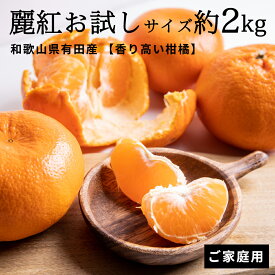 【ふるさと納税】【2027年先行予約】 【香り高い柑橘】和歌山県有田産 麗紅 お試しサイズ 約2kg【訳あり 家庭用】【ミカン 蜜柑 柑橘 温州みかん 有田みかん 和歌山 有田】
