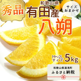 【ふるさと納税】和歌山県有田産 八朔 5kg 秀品 (M～2Lサイズおまかせ)【はっさく ハッサク 八朔 和歌山 有田】