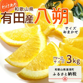 【ふるさと納税】和歌山県有田産 八朔 3kg 訳あり (M～2Lサイズおまかせ)【はっさく ハッサク 八朔 和歌山 有田】