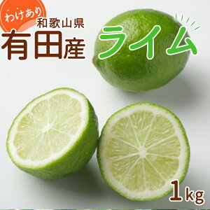 yӂ邳Ɣ[Łzyzy2025N s\z a̎R LcY YC 1kg 󂠂yC YC k a̎R Lc 󂠂z