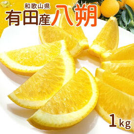 【ふるさと納税】和歌山県有田産 八朔 1kg M～2Lサイズ混合【はっさく ハッサク 八朔 和歌山 有田】