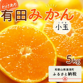 【ふるさと納税】【2024年 先行予約】和歌山県産 有田みかん 小玉 5kg 訳あり【ミカン 蜜柑 柑橘 温州みかん 和歌山 有田 小粒 】